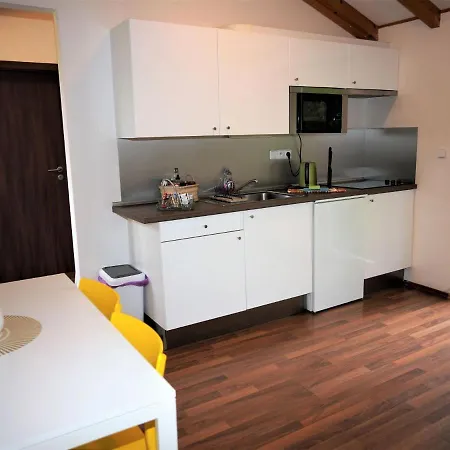 Holiday home Pod Liscim Kopcem 2-2 By Interhome Horni Branna